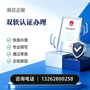 株洲双软认证申报服务