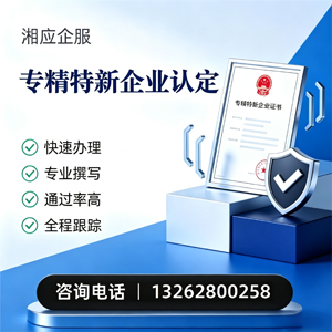 株洲专精特新企业申报服务