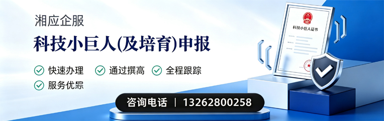 株洲科技小巨人及培育企业申报服务