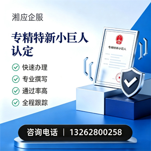 株洲专精特新小巨人申报服务