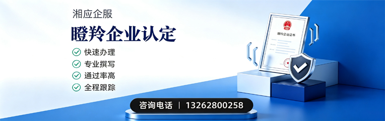 株洲瞪羚企业认定申报服务