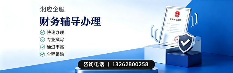 株洲财务辅导申请服务