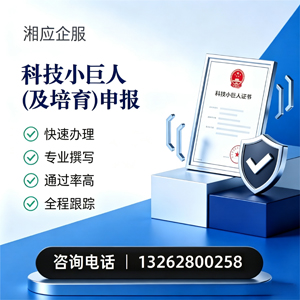 株洲科技小巨人及培育企业申报服务