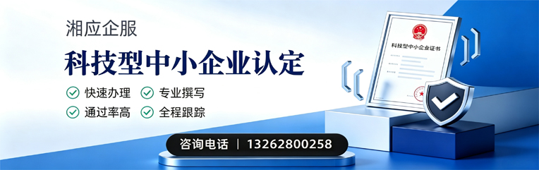 株洲科技型中小企业认定申报服务
