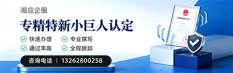 株洲专精特新小巨人申报服务